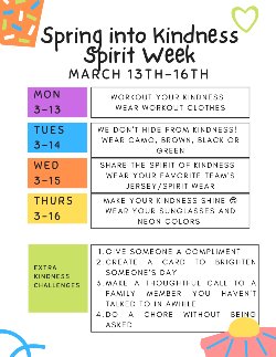 Student Ambassador spirit week